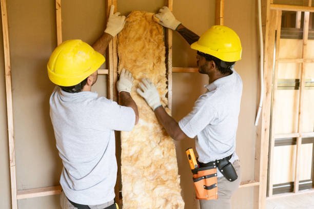 Insulation Replacement Services in Dardenne Prairie, MO